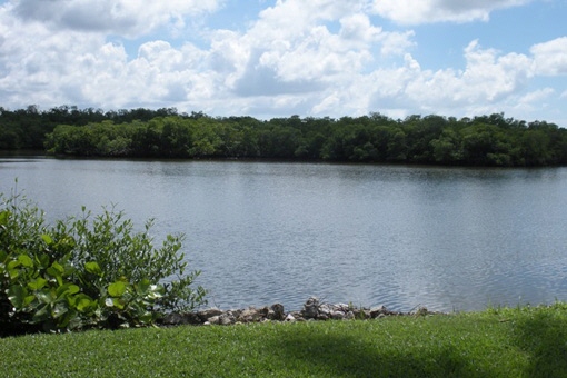 Hermosa naturaleza en los alrededores